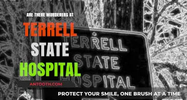 Terrell State Hospital: Home to Murderers?
