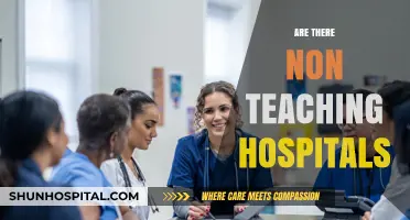 Exploring Non-Teaching Hospitals: Roles, Functions, and Healthcare Contributions
