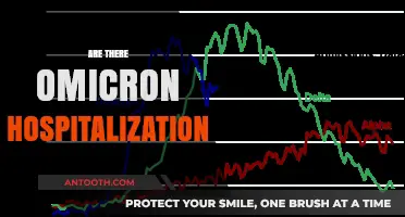 Omicron Hospitalizations: Tracking the Impact and Current Trends