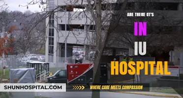 Occupational Therapists: IU Hospital's Integral Team Members