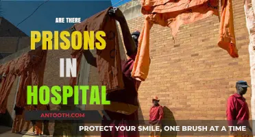 Prisons in Hospitals: Unraveling the Complex Relationship Between Incarceration and Healthcare