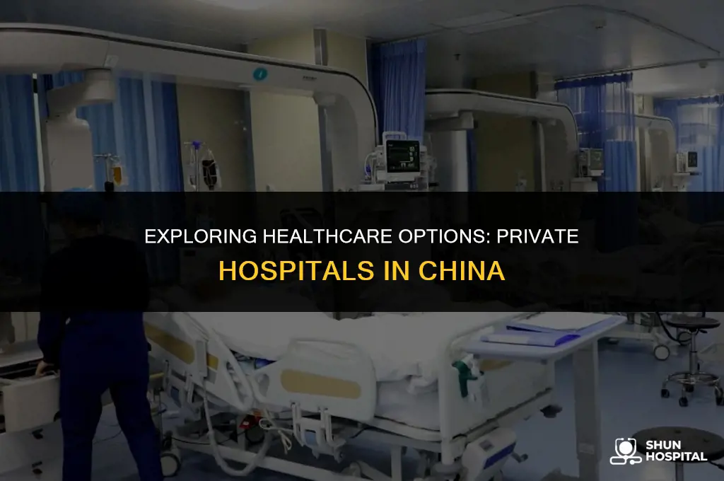are there private hospitals in china