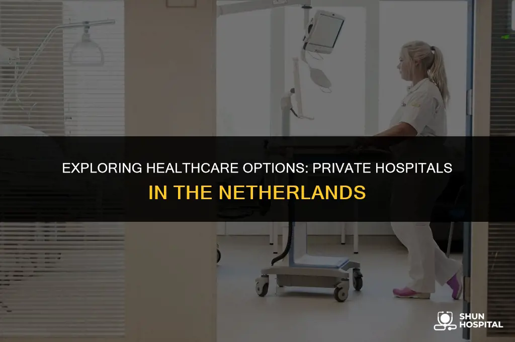 are there private hospitals in netherlands