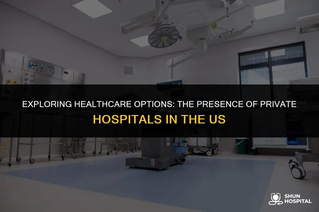 are there private hospitals in us