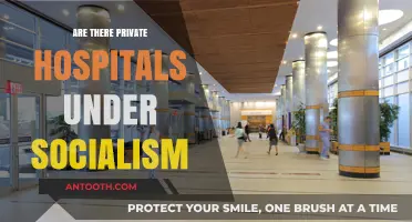 Exploring Healthcare Options: Private Hospitals in Socialist Systems