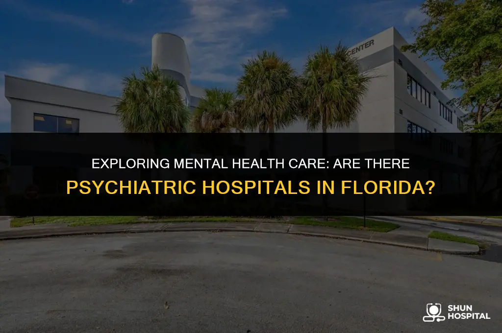 are there psychiatric hospitals in florida