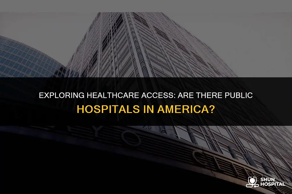 are there public hospitals in america