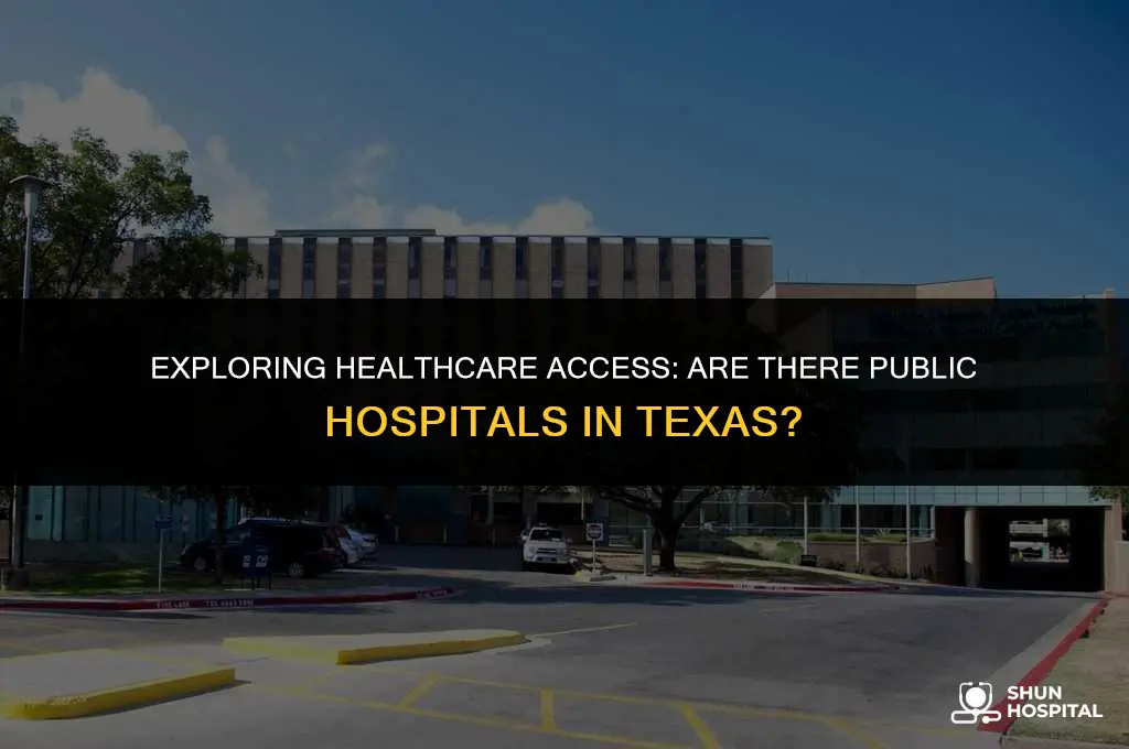 are there public hospitals in texas