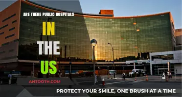 US Public Hospitals: Do They Exist?