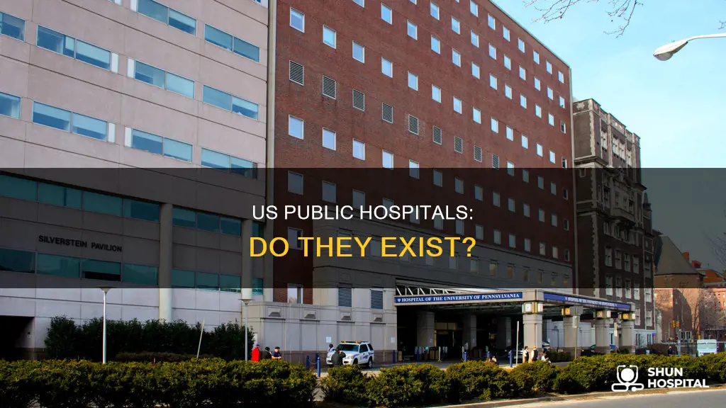 are there public hospitals in the us