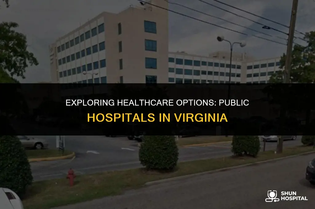 are there public hospitals in virginia
