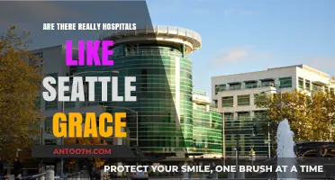 Unraveling the Truth Behind Seattle Grace-like Hospitals