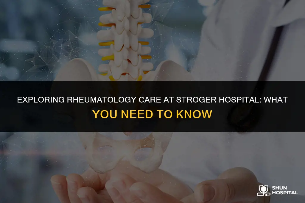 are there rhumatologist at stroger hospital
