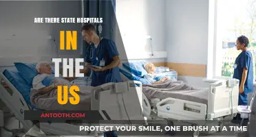 State Hospitals: Do They Exist in the US?