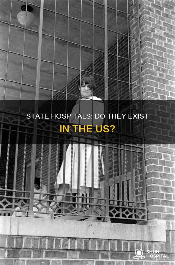 are there state hospitals in the us