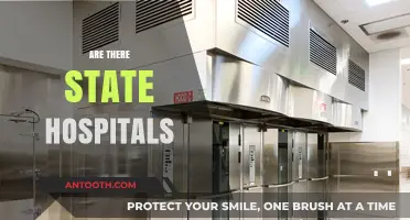 Exploring State-Run Hospitals: Availability, Services, and Patient Care Insights