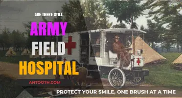 Exploring the Existence of Army Field Hospitals Today