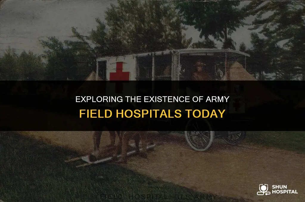 are there still army field hospital