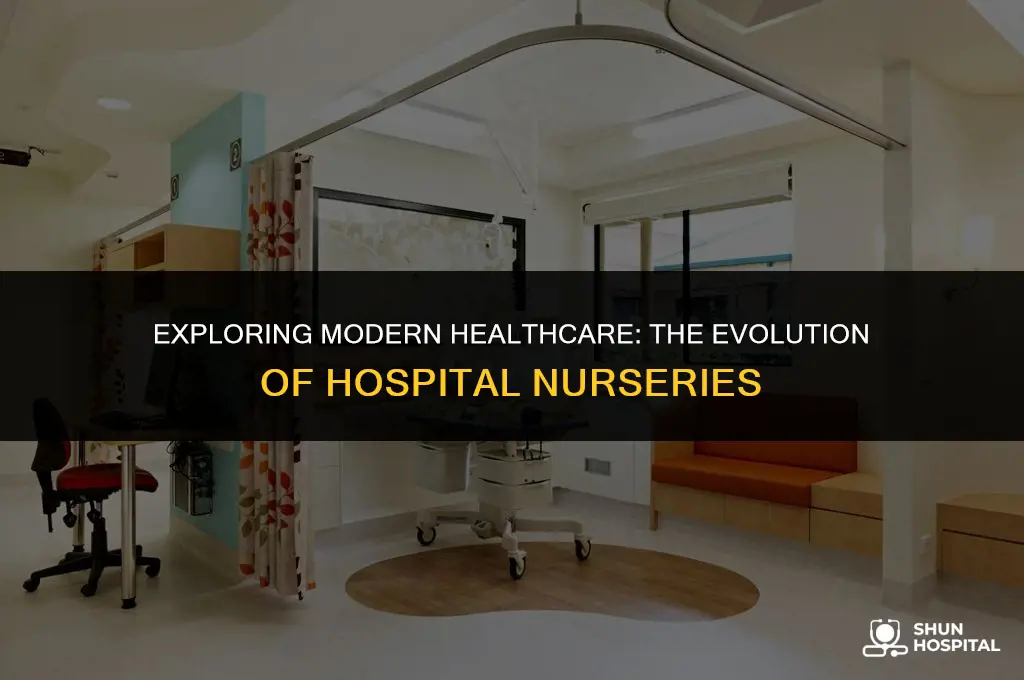 are there still nurseries in hospitals