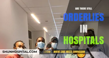 Do Hospitals Still Employ Orderlies? Exploring the Evolution of Healthcare Roles