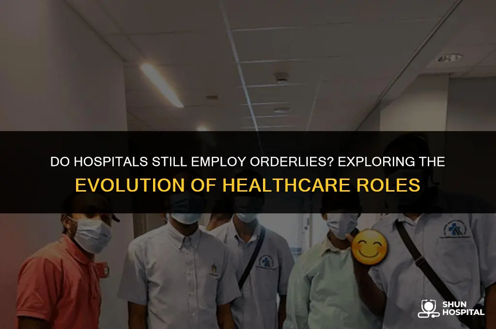 are there still orderlies in hospitals