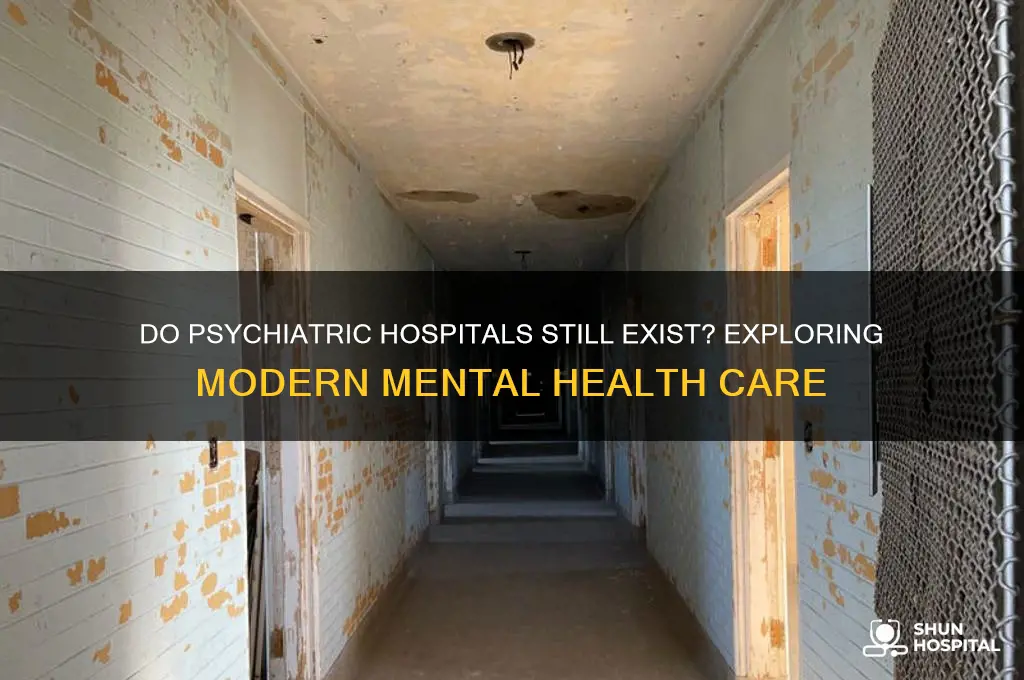 are there still psychiatric hospitals