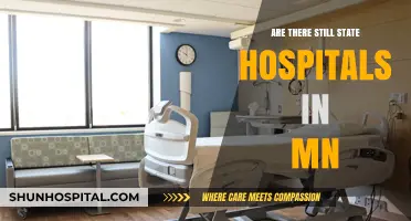 State Hospitals in Minnesota: What's the Current Status?