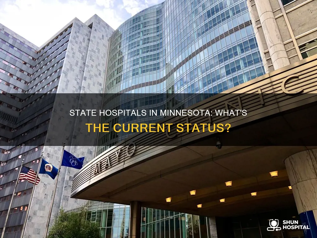 are there still state hospitals in mn