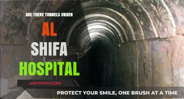 The Mystery of Tunnels Under Al Shifa Hospital