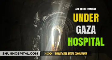 Unveiling the Truth: Tunnels Beneath Gaza's Hospitals?