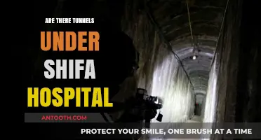 Unveiling the Truth: Tunnels Beneath Shifa Hospital?