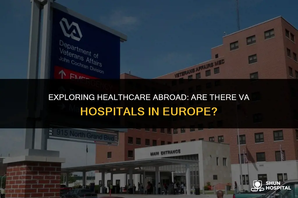 are there va hospitals in europe