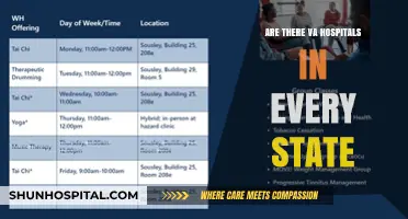 VA Hospitals: Availability Across All States