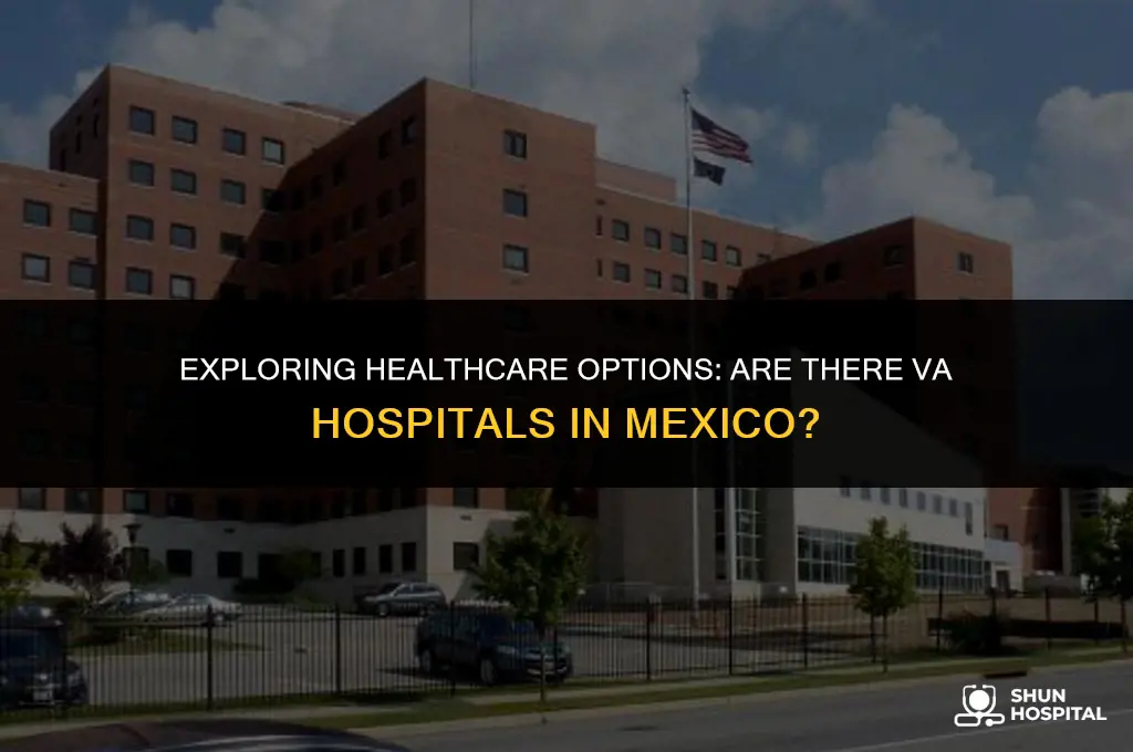 are there va hospitals in mexico