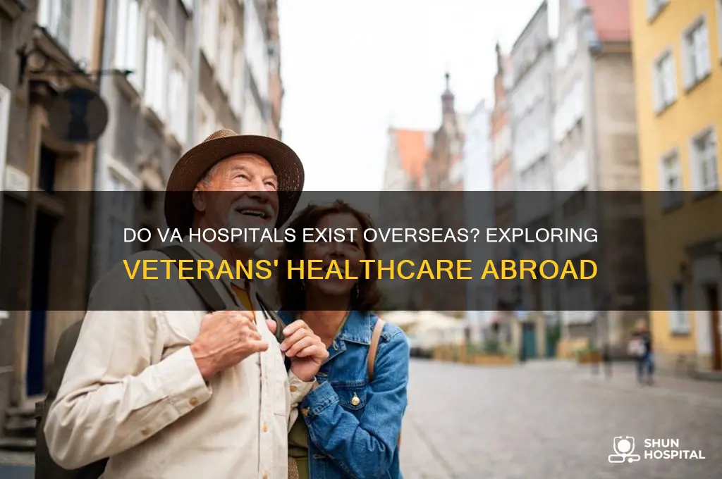 are there va hospitals overseas