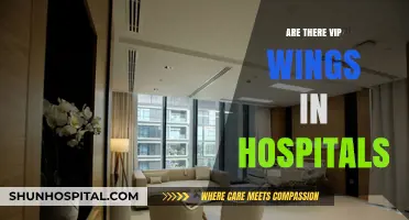 Exploring the Existence of VIP Wings in Hospitals: A Comprehensive Overview