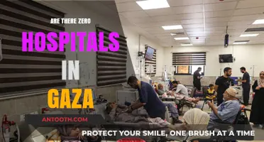 Unveiling the Truth: Healthcare Crisis in Gaza Strip