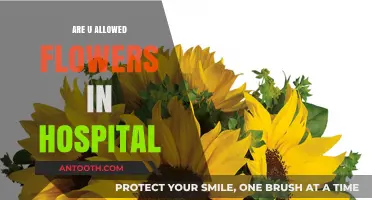 Petals of Comfort: Are Flowers Allowed in Hospitals?