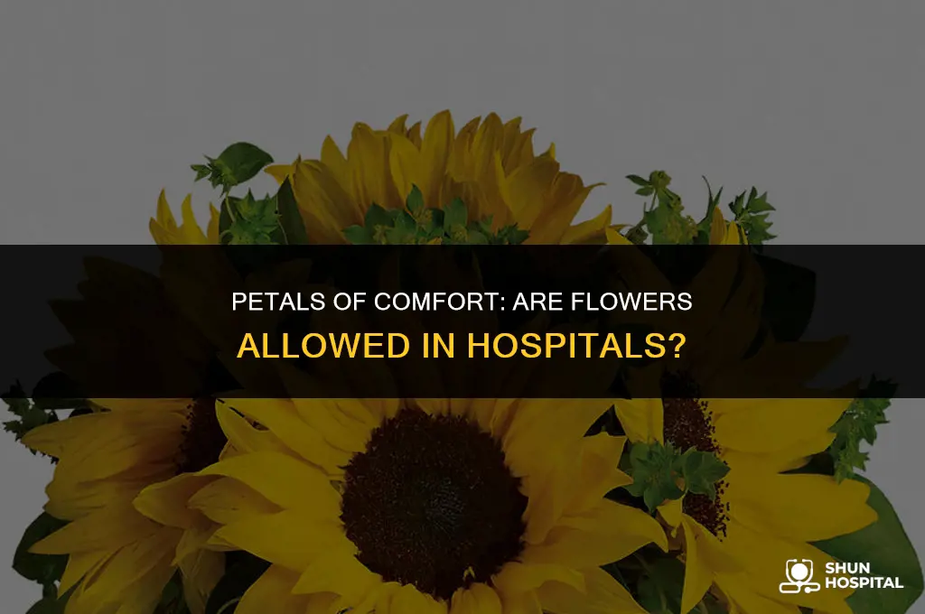 are u allowed flowers in hospital
