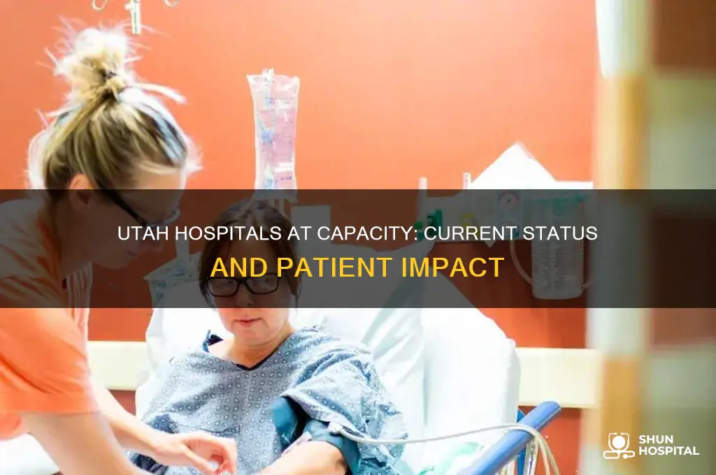 are utah hospitals at capacity