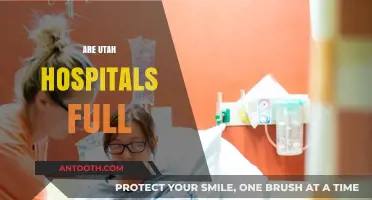 Utah Hospitals at Capacity: Examining the Current Healthcare Crisis