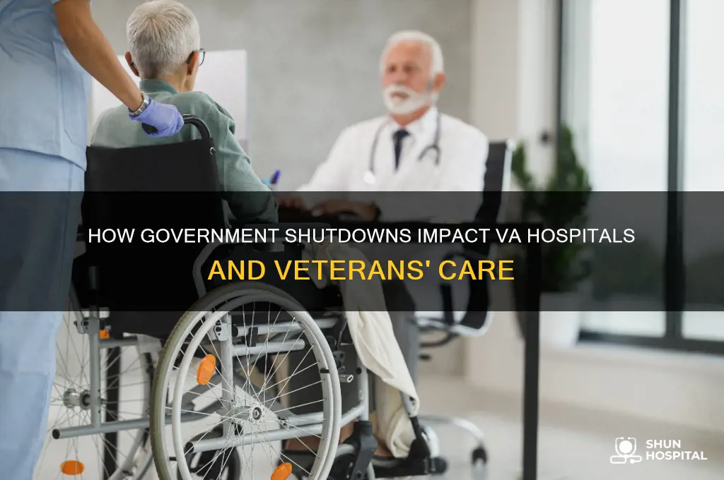 are va hospital affected byt he government shut down