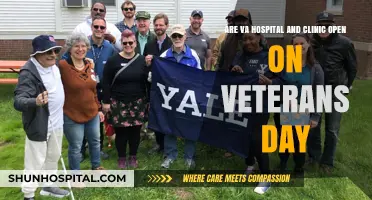 Are VA Hospitals and Clinics Open on Veterans Day?