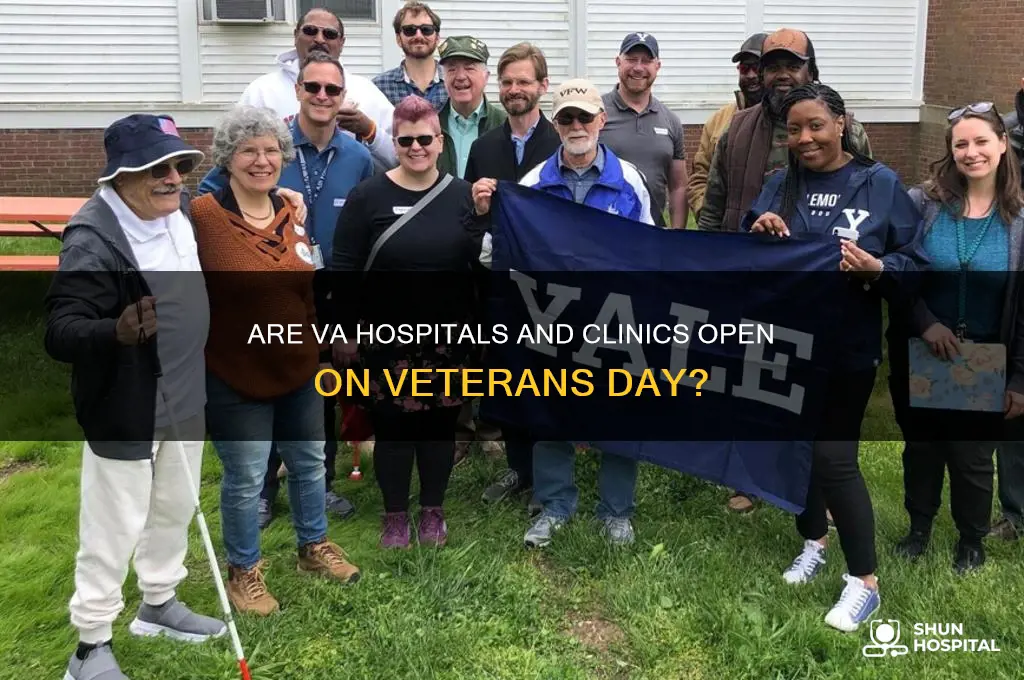 are va hospital and clinic open on veterans day