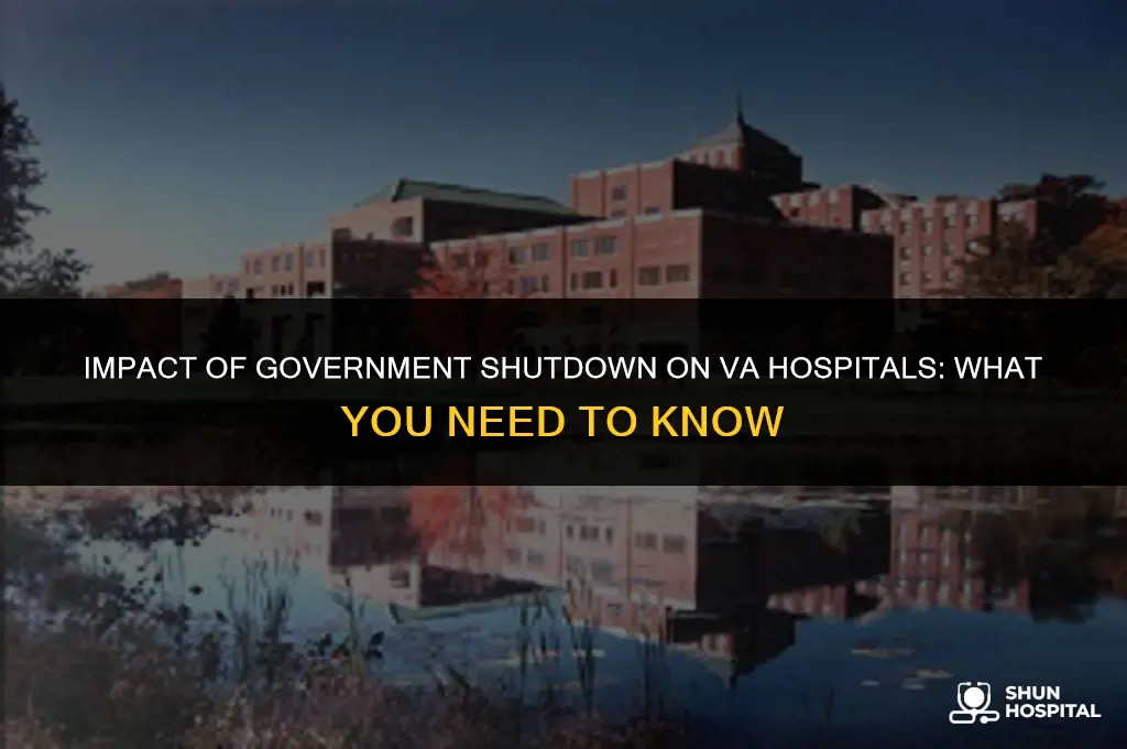 are va hospitals affected by shutdown