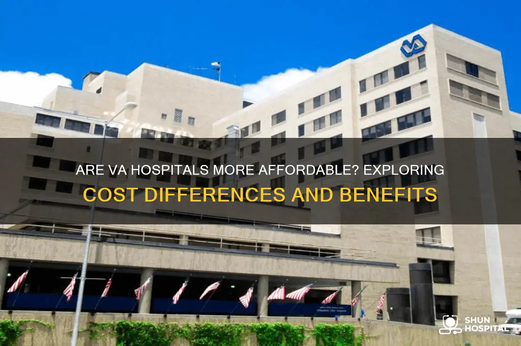 are va hospitals cheaper