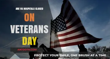 VA Hospitals: Veterans Day Operations