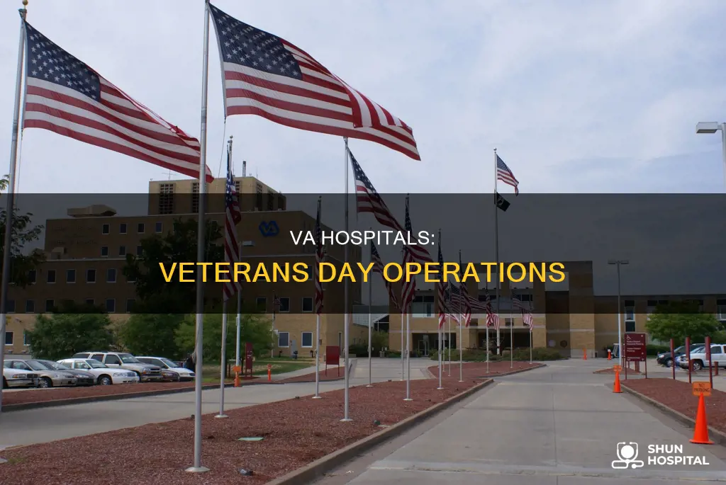 are va hospitals closed on veterans day