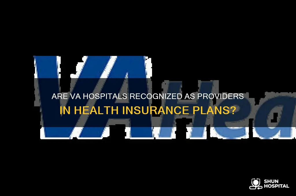 are va hospitals considered providers on health care insurance