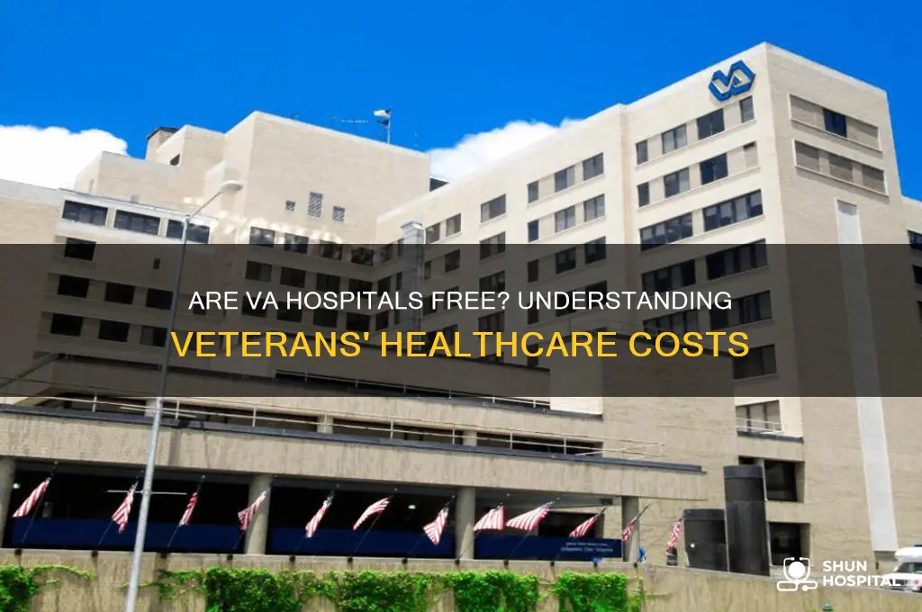are va hospitals free